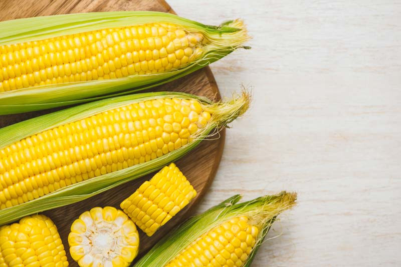 Is Cornbread Good For Diabetics
 Is Corn Good for Diabetes