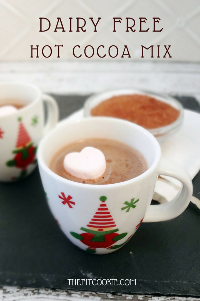 Is Hershey'S Cocoa Powder Dairy Free
 Dairy Free Hot Cocoa Mix Vegan • The Fit Cookie