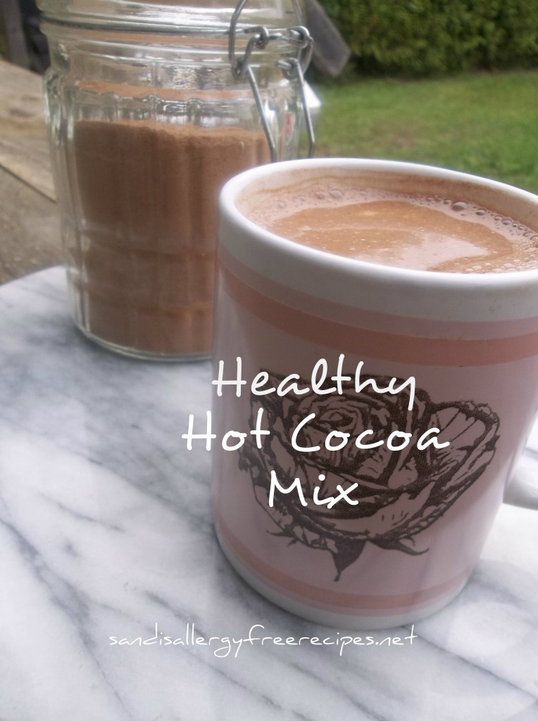 Is Hershey'S Cocoa Powder Dairy Free
 Healthy Hot Cocoa Mix Dairy Free Refined Sugar Free