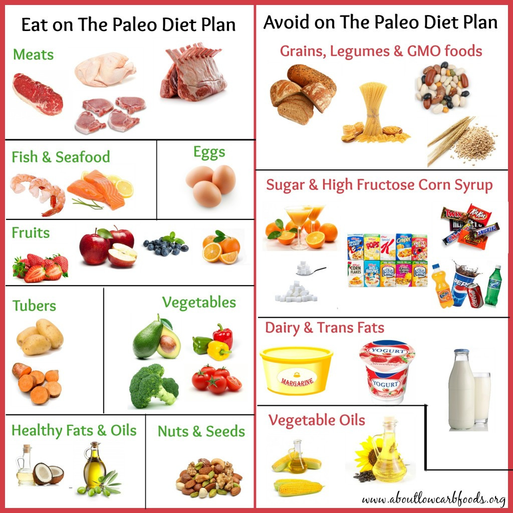 Is Paleo Diet Healthy
 A Paleo Diet Plan That Can Save Your Life About Low Carb