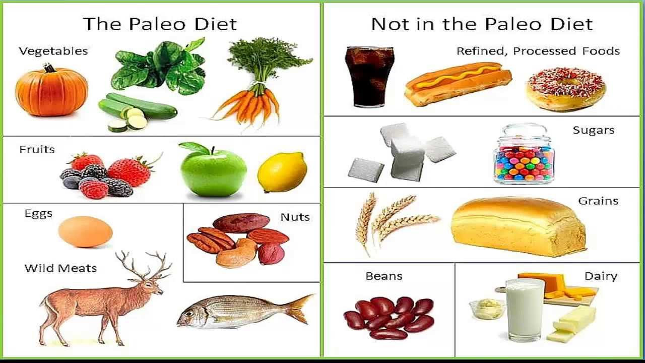 Is Paleo Diet Healthy
 Paleo Diet what is it should you try it Level 9 Fitness