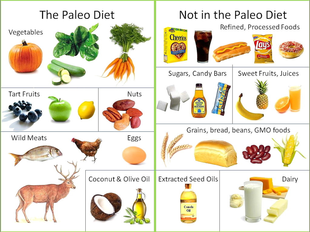 Is Paleo Diet Healthy
 Popular Effective Diets for Sleep Apnea CPAP Therapy