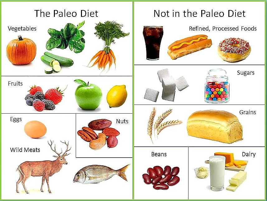 Is Paleo Diet Healthy
 Does Paleo for PCOS Work