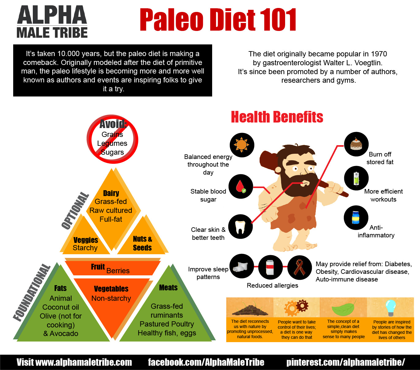 Is Paleo Diet Healthy
 What is the Paleo Diet Bundilla Clinic