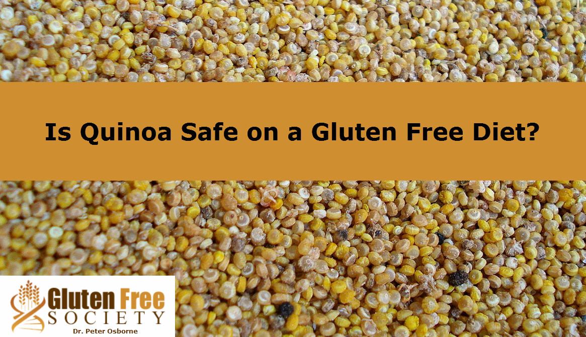 Is Quinoa Gluten Free
 Is Quinoa a Safe Gluten Free Food Alternative