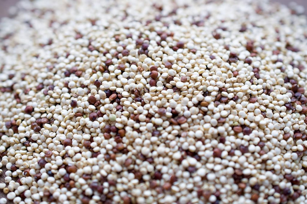 Is Quinoa Good For Diabetics
 The Best Foods for a Diabetic Diet