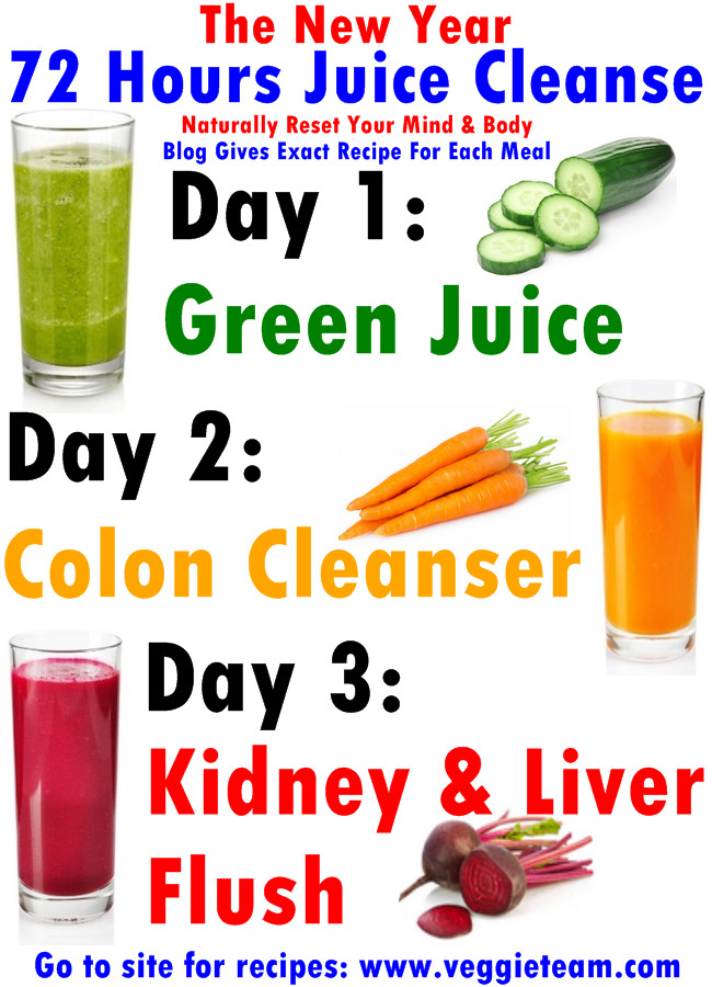 Juice Recipes For Weight Loss And Detox
 3 Day Juice Cleanse Weight Loss Recipe chicposts