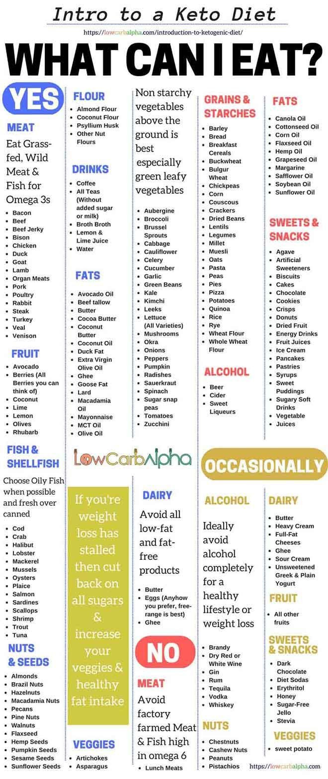 Keto Diet Forum
 Introduction to Ketogenic Diet Food Pinterest