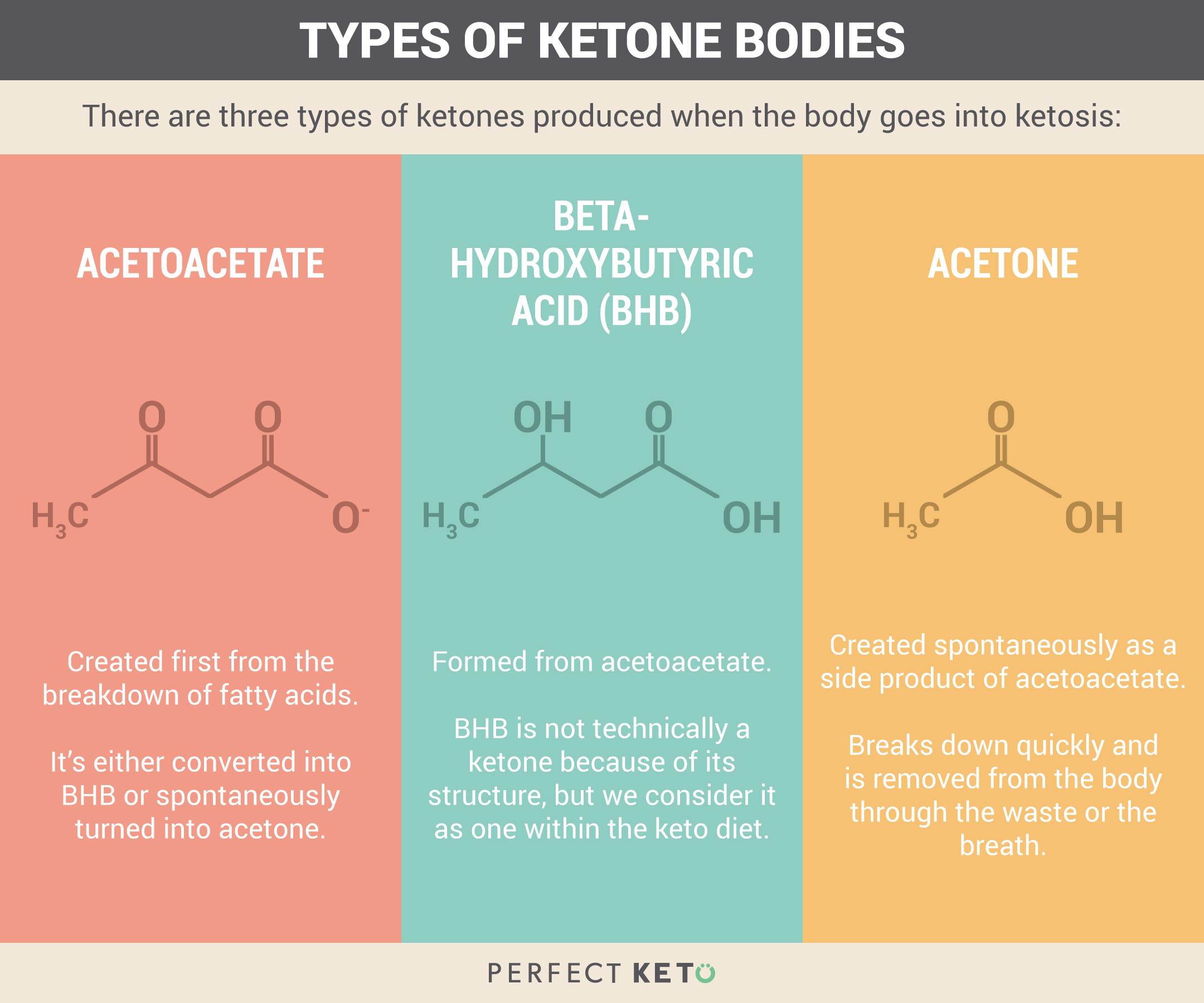 Keto Diet Hypoglycemia
 Ketosis Explained What It Is How to Achieve It And Why