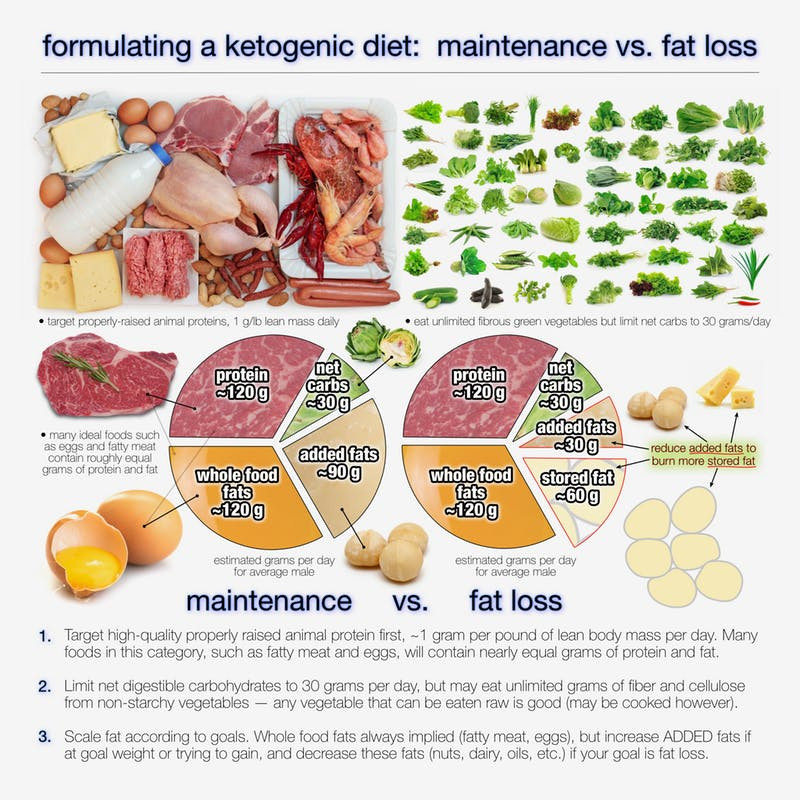 Keto Diet Information
 How Much Fat Should You Eat on a Ketogenic Diet Diet Doctor