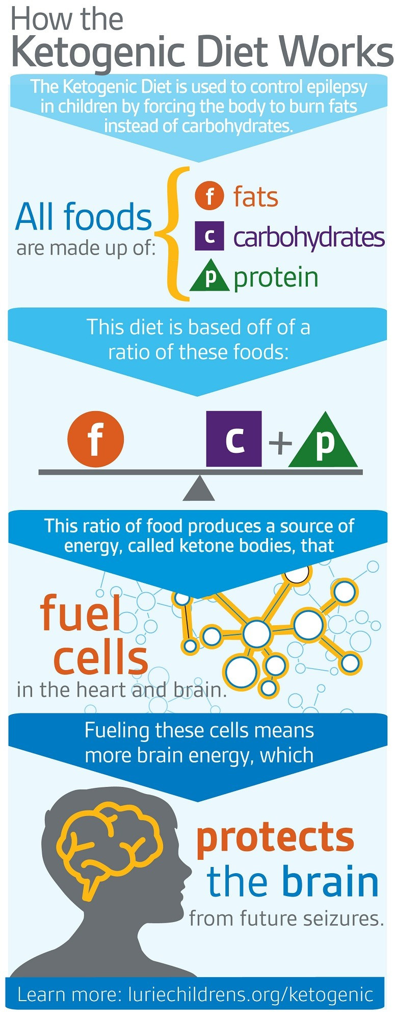 Keto Diet Information
 Following a Ketogenic Diet through the Holidays