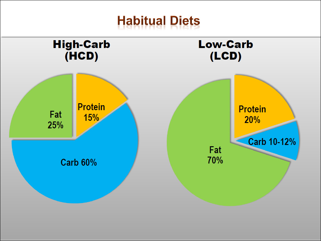 Keto Diet Percentage Chart
 The Emerging Science on Fat Adaptation