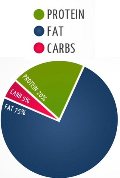 Keto Diet Percentage Chart
 An Amazing Keto Diet Macros to Burn Your Fat with Healthy