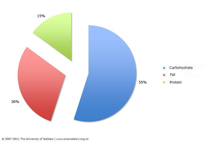 Keto Diet Percentage Chart
 Keto Diet Macronutrient Percentage