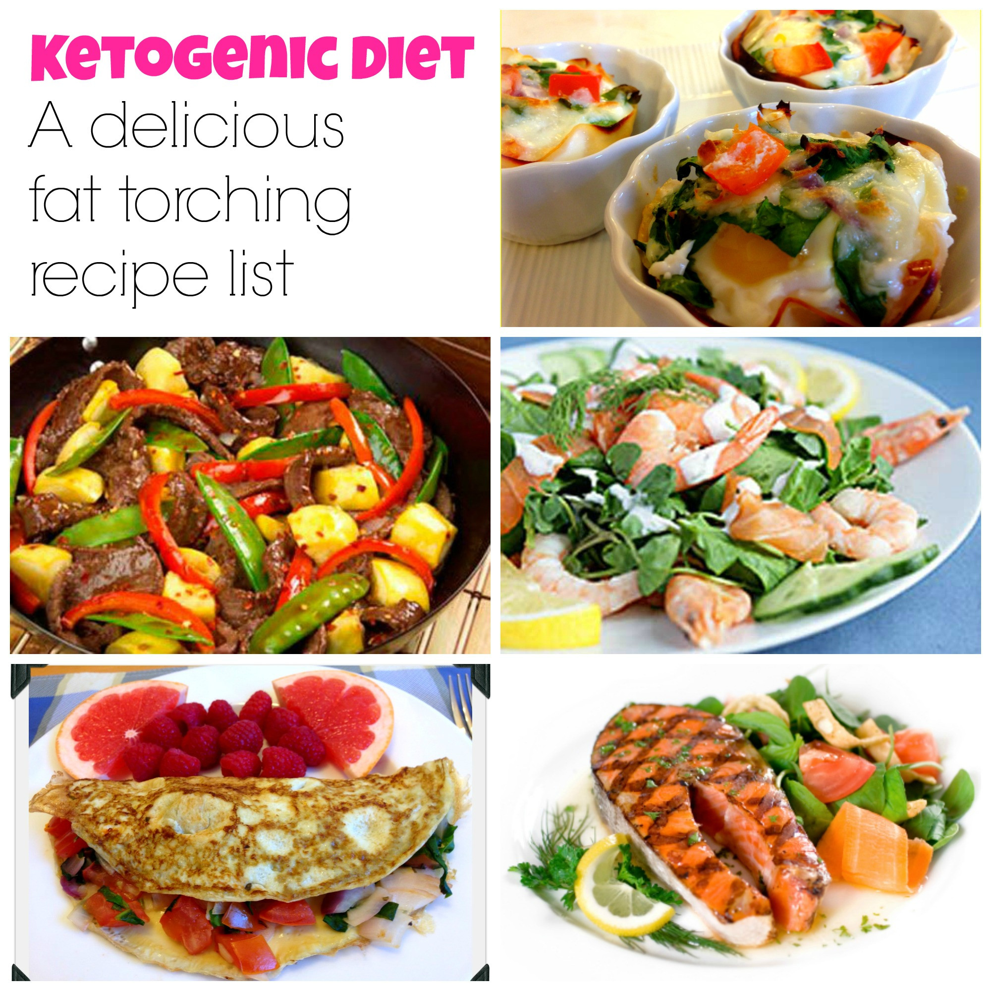 Keto Diet Recipes Free
 ketogenic t recipes weight loss
