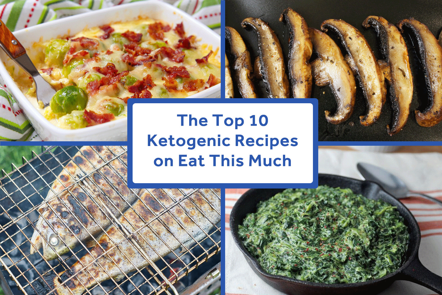 Keto Diet Recipes Free
 The Top 10 Ketogenic Recipes on Eat This Much