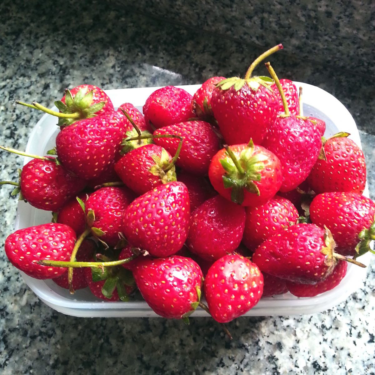 Keto Diet Strawberries
 Keto Strawberry Shortcake – i Stayfit