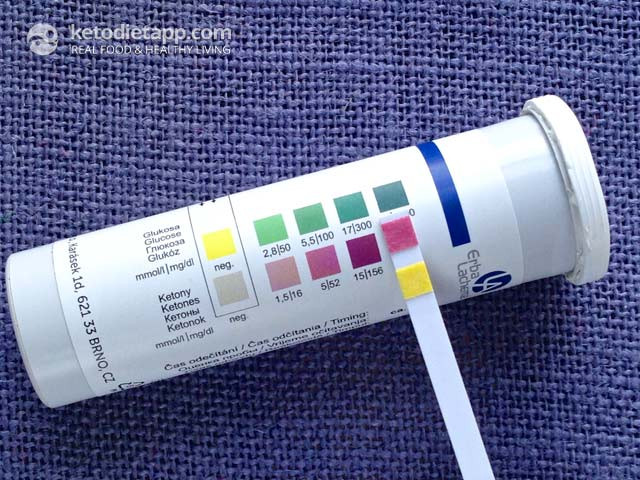 Keto Diet Strips
 Ketosis & Measuring Ketones