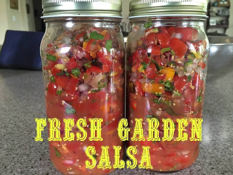 Keto Salsa Recipe
 Keto Approved Fresh Garden Salsa PICO de Gallo