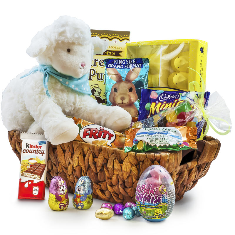 Lamb Easter Basket
 Kiddo Lamb My New Best Friend Easter Gift Basket