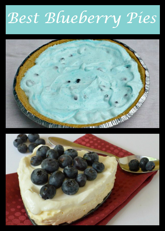 Low Calorie Blueberry Desserts
 Best Low Calorie Blueberry Pie Recipes OurFamilyWorld