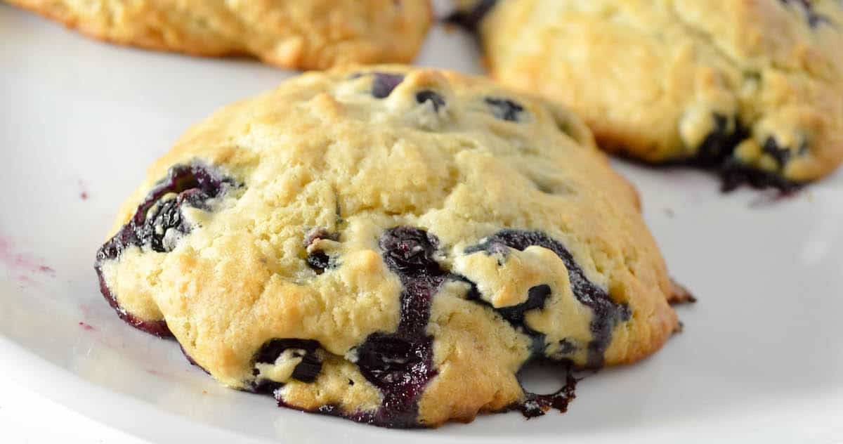 Low Calorie Blueberry Desserts
 Low Calorie Dessert Blueberry Scone Our Family World