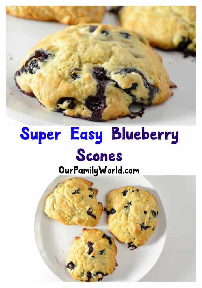 Low Calorie Blueberry Recipes
 Low Calorie Dessert Blueberry Scone Our Family World