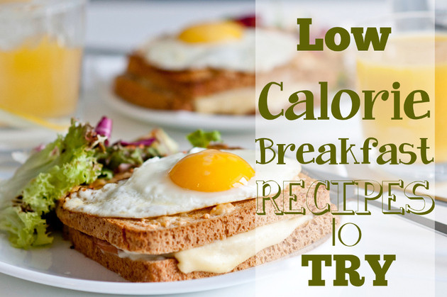 Low Calorie Breakfast Recipes
 Great Skinny Breakfast Recipes