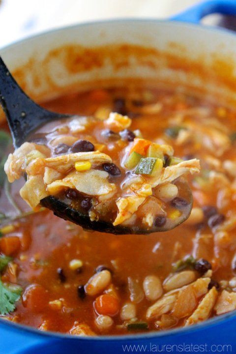 Low Calorie Chicken Tortilla Soup
 Low Fat Tortilla Soup Games