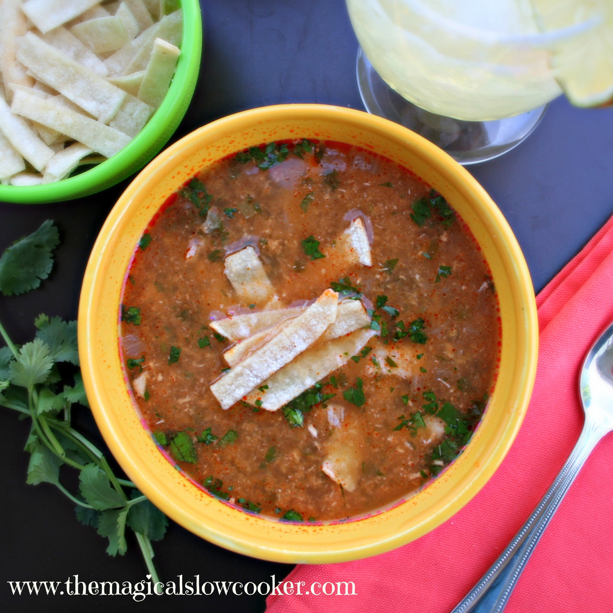 Low Calorie Chicken Tortilla Soup
 Skinny Slow Cooker Chicken Tortilla Soup The Magical