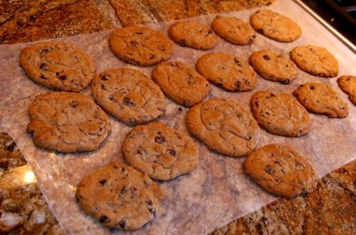 Low Calorie Chocolate Chip Cookies Recipe
 111 best images about Recipes Low Carb on Pinterest