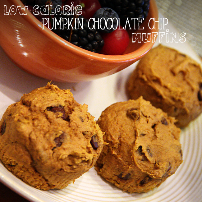 Low Calorie Chocolate Chip Muffins
 This Month’s Freezer Meal Low Calorie Pumpkin Chocolate