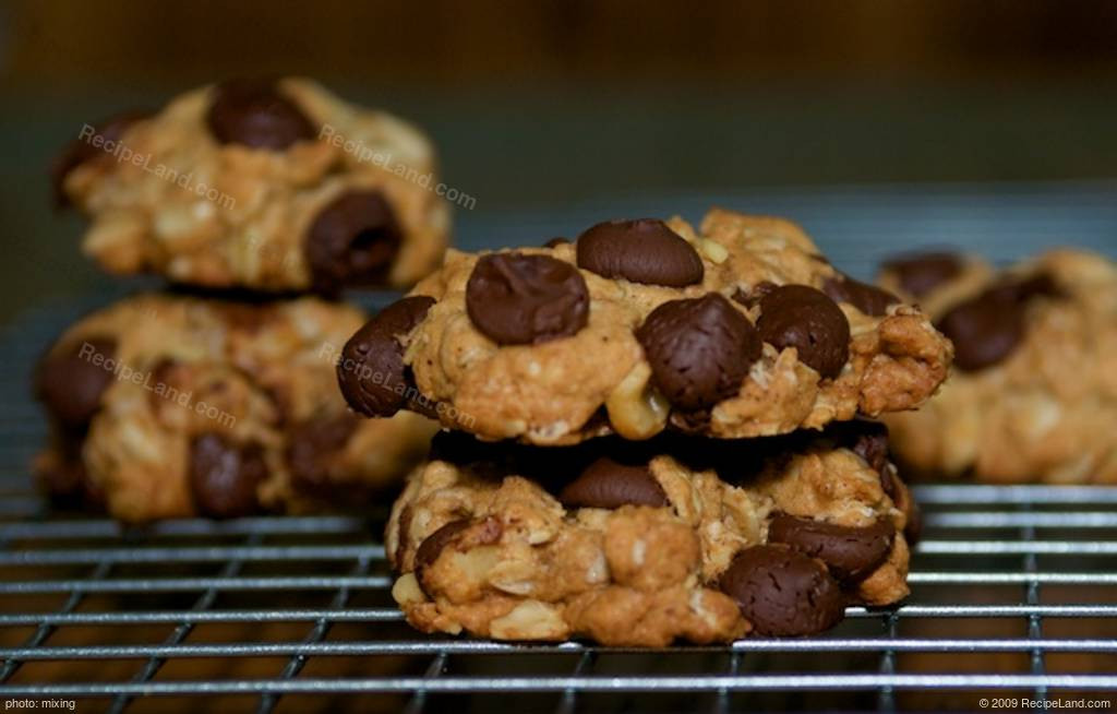 Low Calorie Cookie Recipes
 Low Fat and Low Calorie Oatmeal Chocolate Chip Cookies Recipe