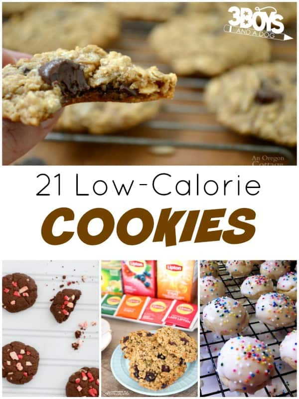 Low Calorie Cookies Recipe
 Over 20 Low Calorie Cookies – 3 Boys and a Dog – 3 Boys