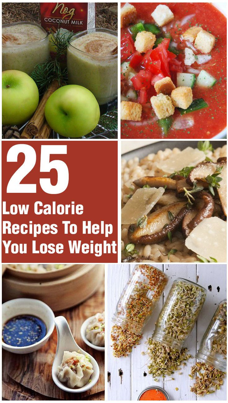Low Calorie Dinner Recipes For Weight Loss
 20 Quick And Healthy Low Calorie Dinner Recipes
