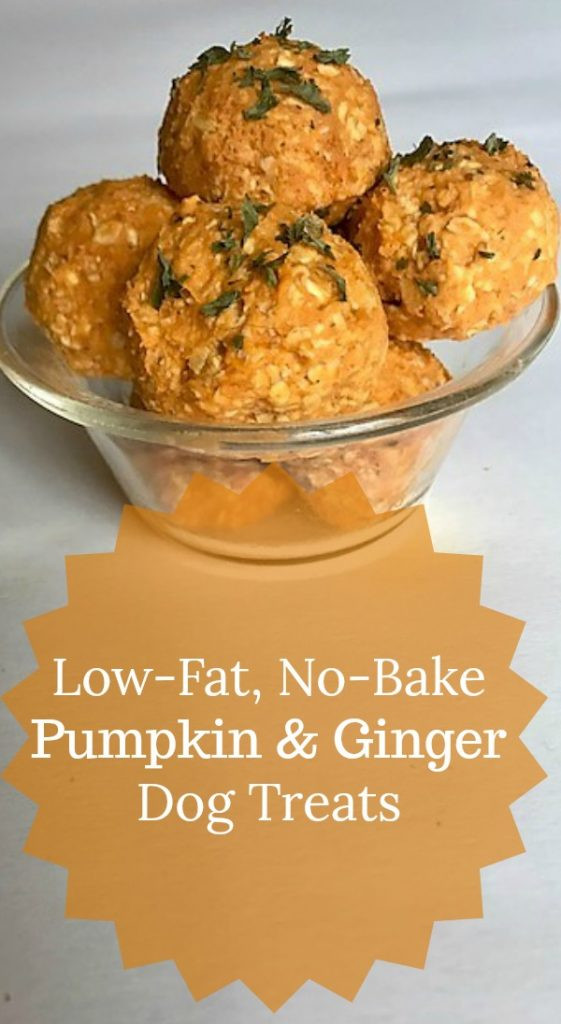 Low Calorie Dog Treat Recipes
 Low Fat No Bake Pumpkin and Ginger Dog Treats