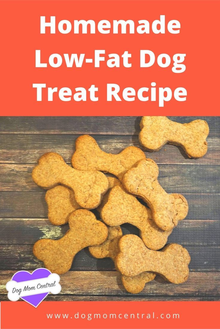 Low Calorie Dog Treat Recipes
 25 best ideas about Fat Dogs on Pinterest