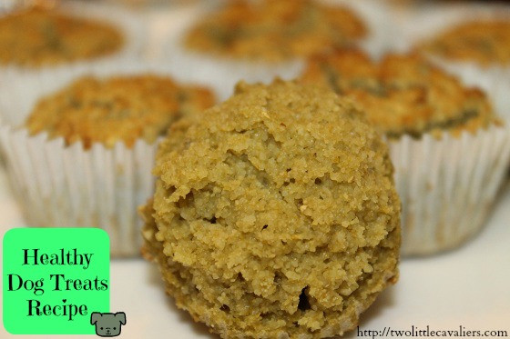 Low Calorie Dog Treat Recipes
 Green Dog Treats Recipe Low Calorie High Protein