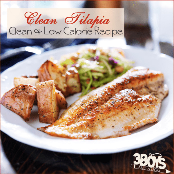 Low Calorie Fish Recipes
 Keep It Clean Tilapia Recipe – 3 Boys and a Dog