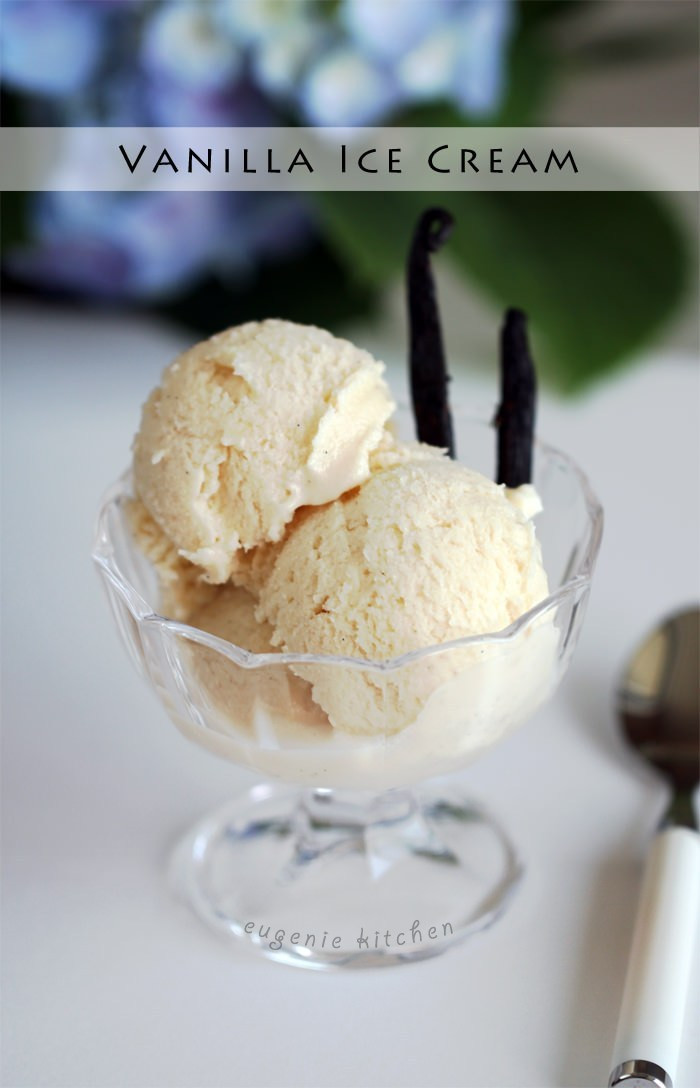 Low Calorie Ice Cream Recipes For Ice Cream Maker
 3 Ingre nt Low fat Vanilla Ice Cream without Ice Cream