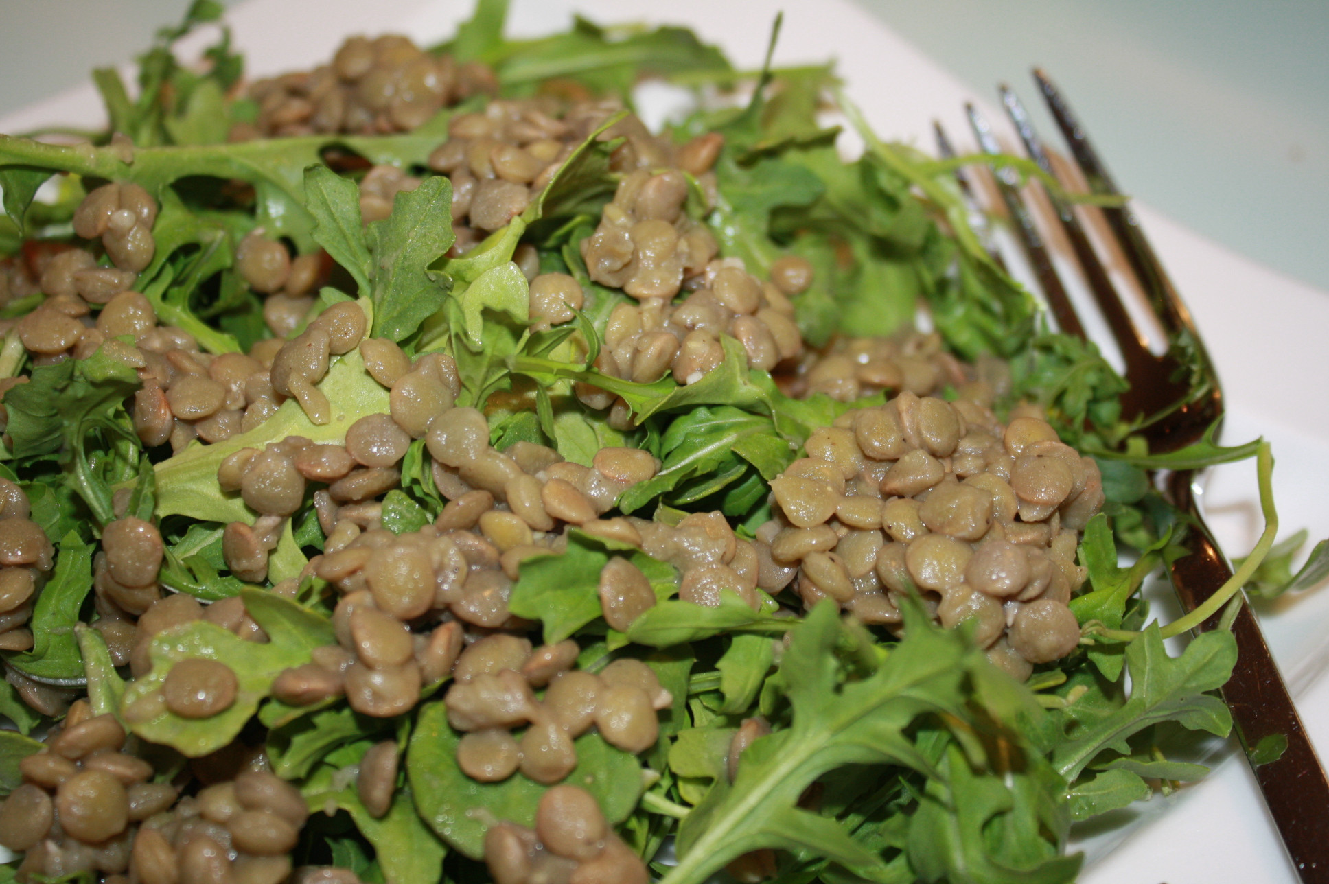 Low Calorie Lentil Recipes
 Low Calorie Arugula Lentil Salad for Summertime Meals