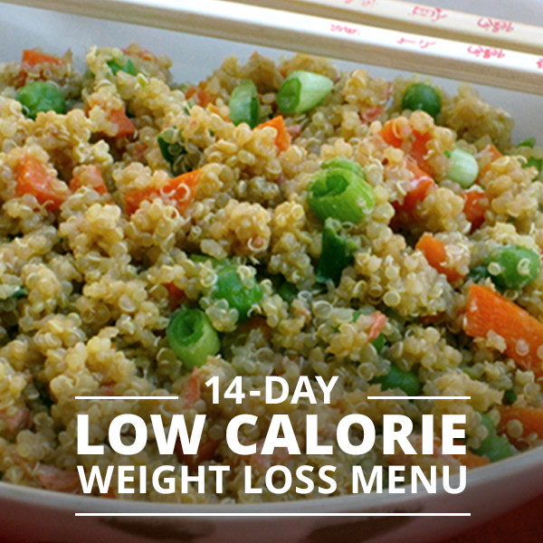 Low Calorie Lunch Recipes For Weight Loss
 14 Day Low Calorie Weight Loss Menu