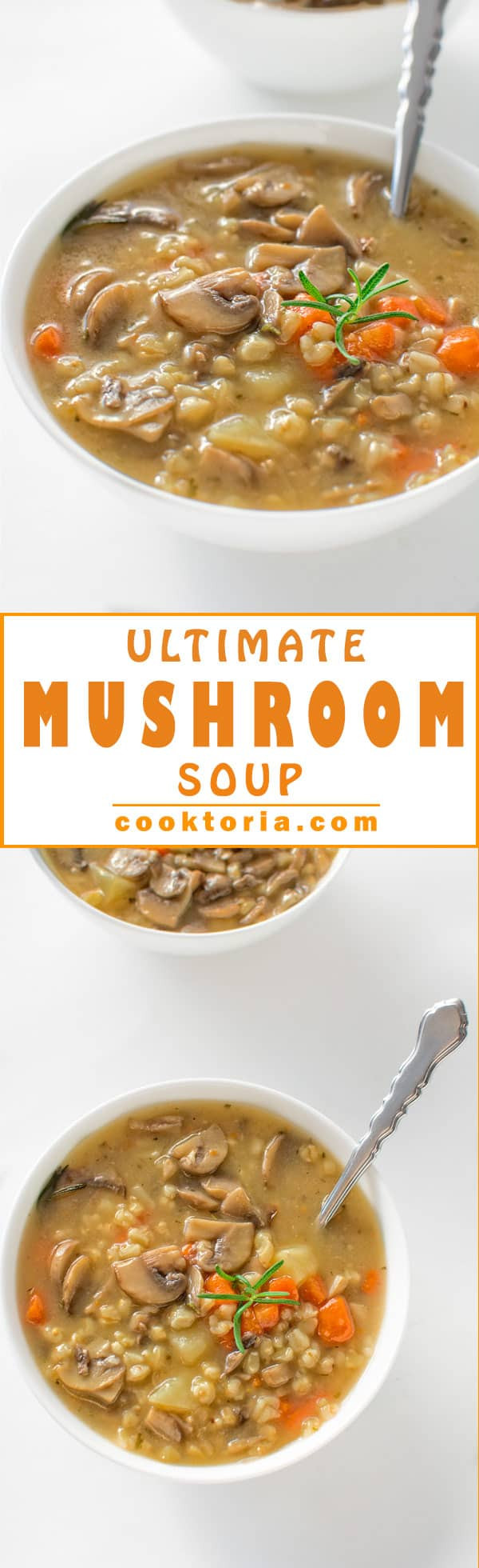 Low Calorie Mushroom Recipes
 low calorie mushroom soup recipe