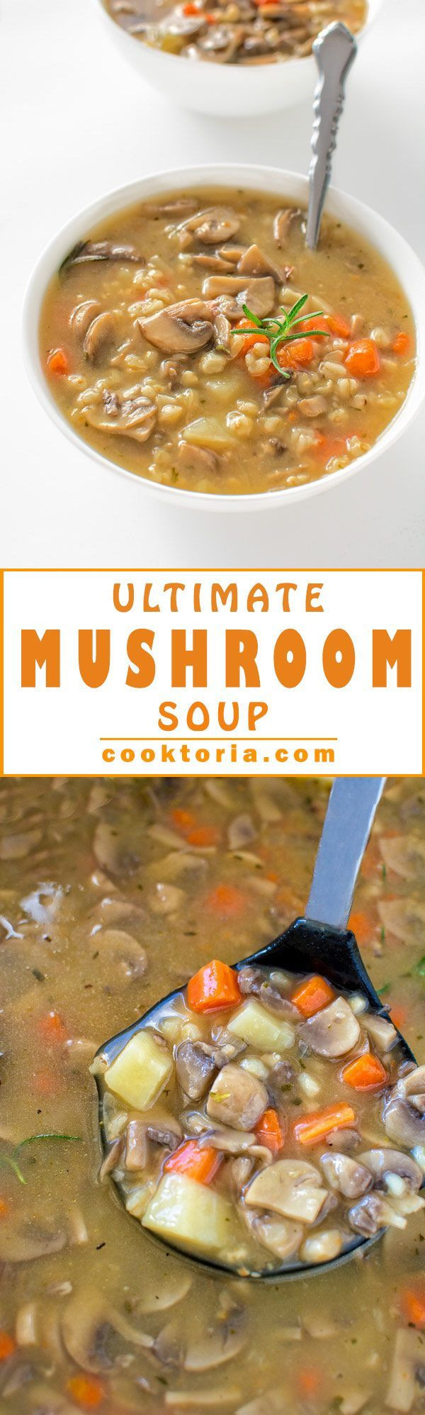 Low Calorie Mushroom Recipes
 Hearty and forting healthy and low calorie – this