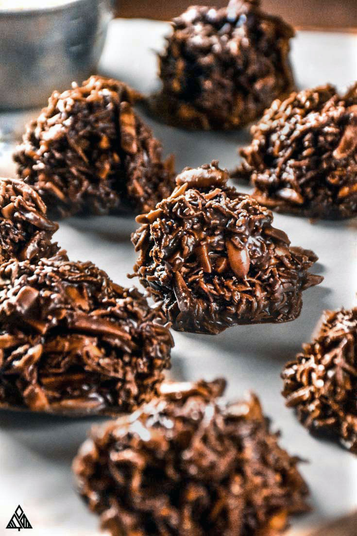 Low Calorie No Bake Cookies
 The Little Pine — Delicious Low Carb Recipes Resources