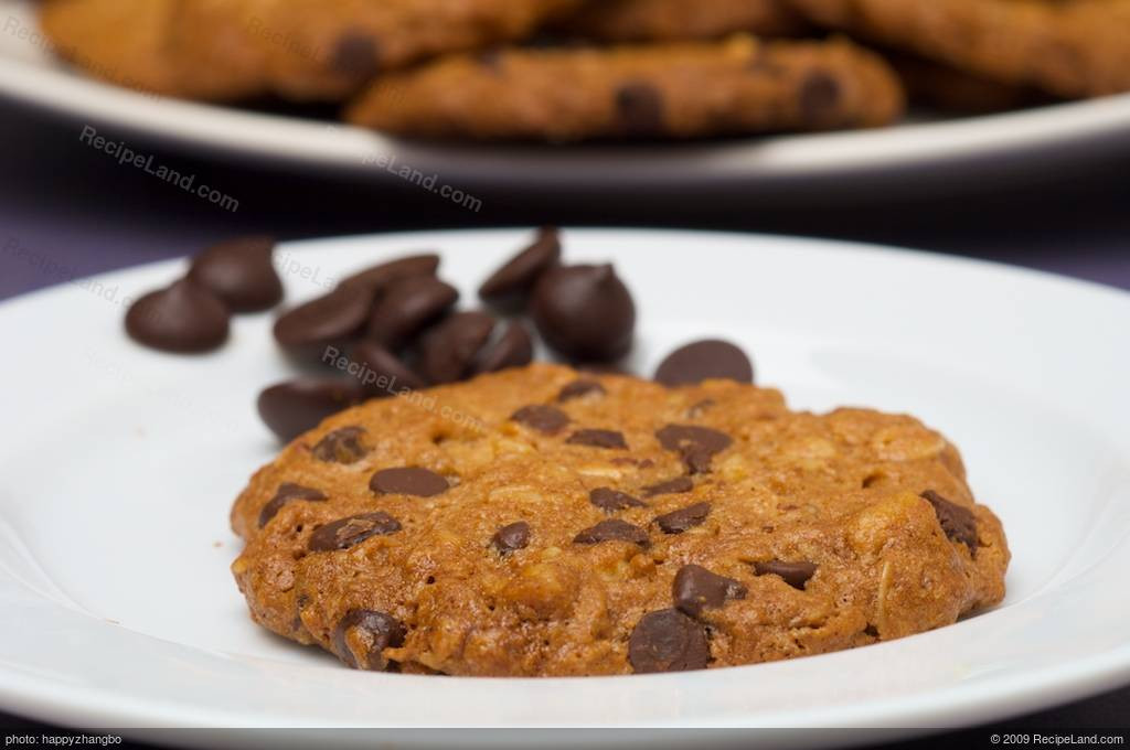 Low Calorie Oatmeal Chocolate Chip Cookies
 Low Fat and Low Calorie Oatmeal Chocolate Chip Cookies Recipe