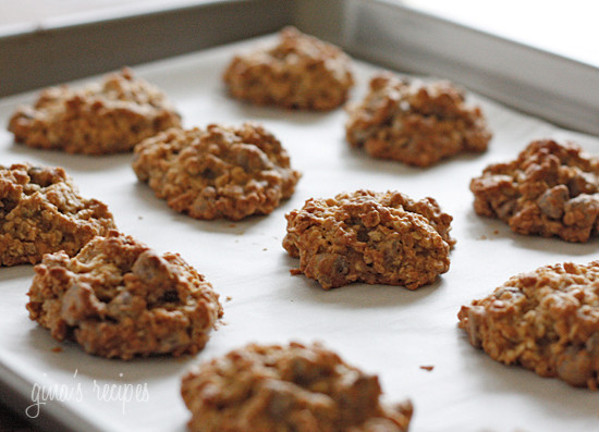 Low Calorie Oatmeal Chocolate Chip Cookies
 Low Fat Oatmeal Cookie Big Teenage Dicks