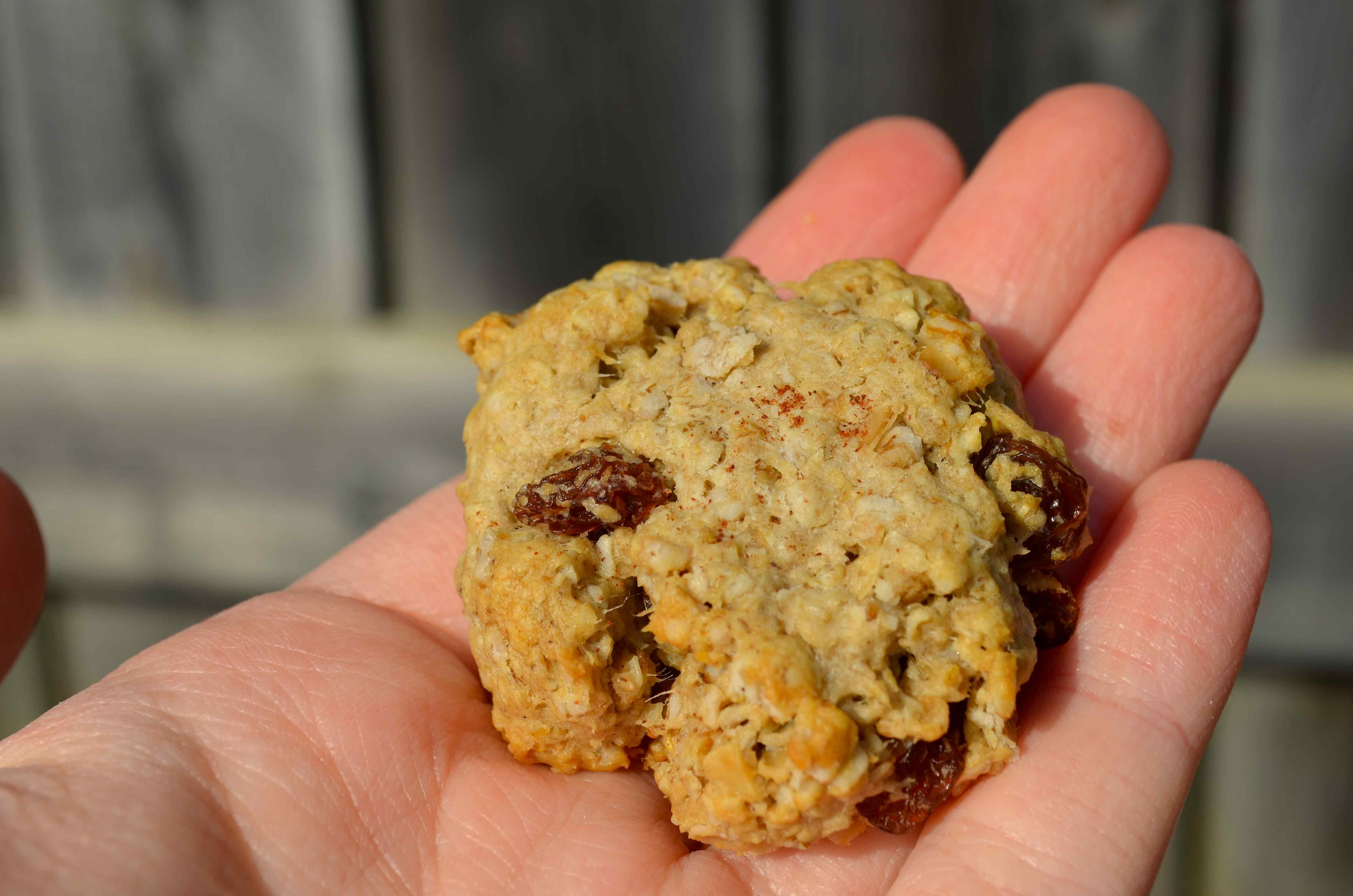 Low Calorie Oatmeal Cookies
 Low Fat Oatmeal Raisin Cookie Mega Dildo Insertion