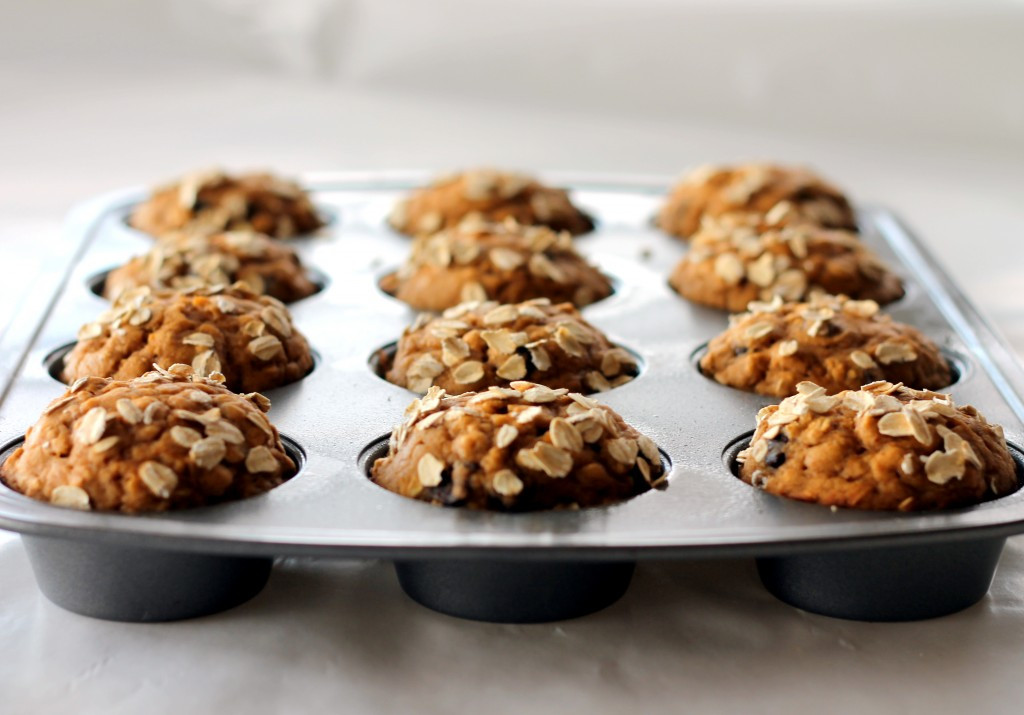 Low Calorie Oatmeal Recipes
 Low fat Pumpkin Oatmeal Chocolate Chip Muffins