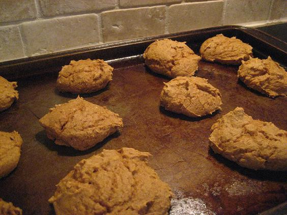 Low Calorie Pumpkin Cookies
 Easiest Cookies in the World Peanut Butter Fingers